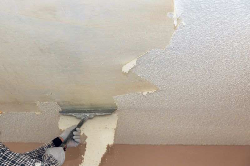 Stipple Ceiling Removal in Saint Paul, MN