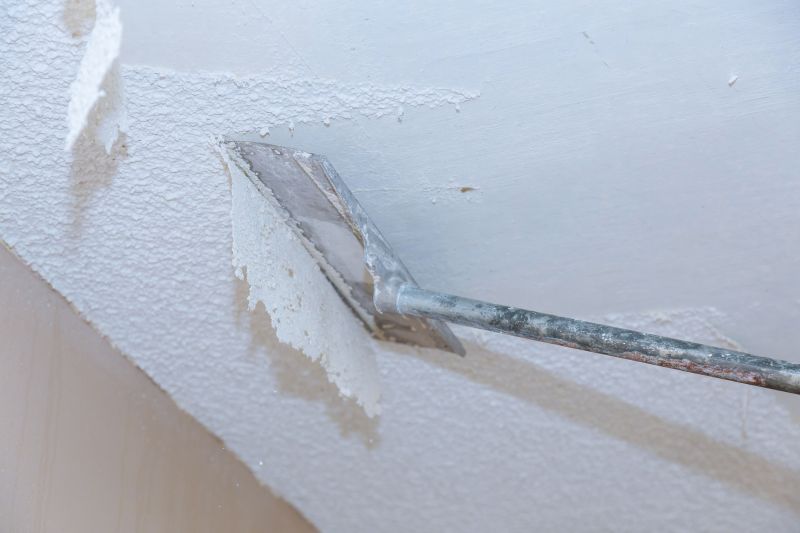 Swirl Ceiling Removal in Boulder, CO